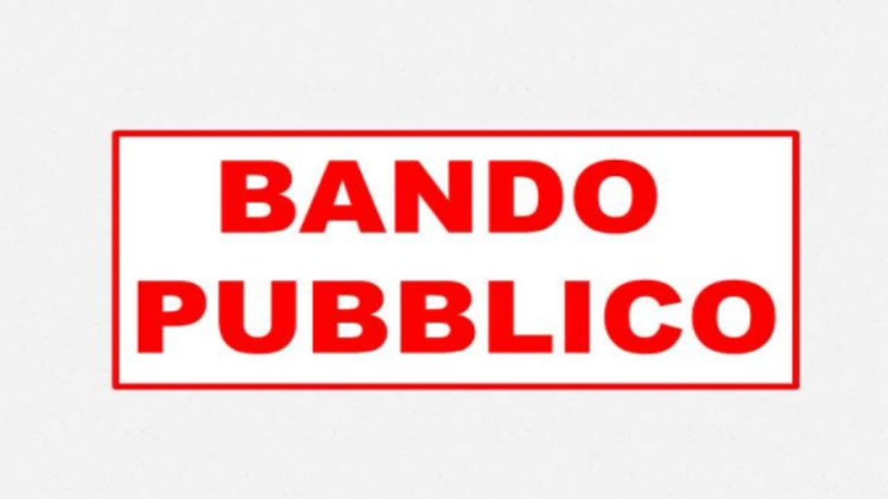 BANDO PUBBLICO per l'assegnazione del Lotto D nell' ampliamento del P.I.P. "Capannelle", approvato in via definitiva con deliberazione della Giunta Comunale n. 42 del 24/06/2024